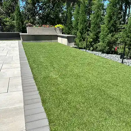 A rectangular turf area in a backyard surrounded by trees